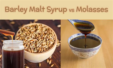 barley malt syrup vs molasses.